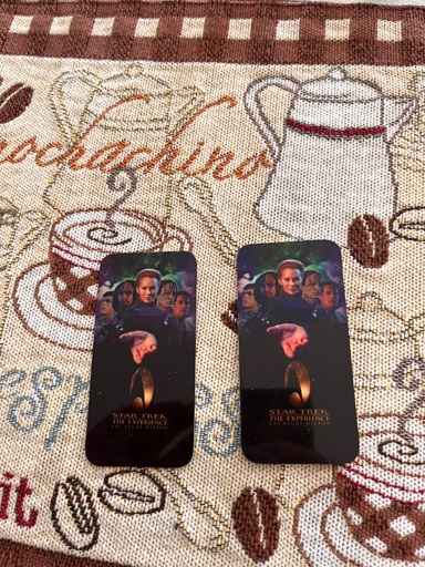 Two hotel keys for the Las Vegas Hilton. The keys themselves have e promotional design for Star Trek: The Experience. It features five actors standing in front of a cosmic background. From left to right: male Romulan, male Klingon, female Trill, male Cardassian and male Human. The female Trill is holding an outstretched right hand. Bellow the hand is the logo for The Experience with the stylized text for “Star Trek The Experience Las Vegas Hilton” printed.
