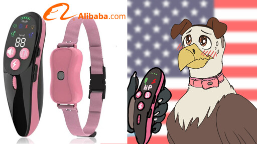 a tired evil empire takes some time to relax and indulge in their puppy girl side with an inexpensive china shock collar