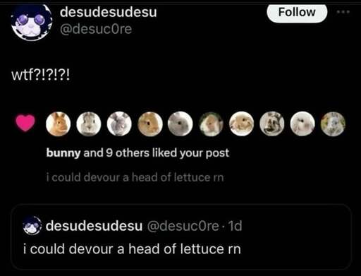 A post by @desuc0re saying "i could devour a head of lettuce rn", then a notification showing that "bunny and 9 others liked your post" and all the users who liked it have profile pictures of bunnies. @desuc0re posts reacting to that notification with "wtf?!?!?!"