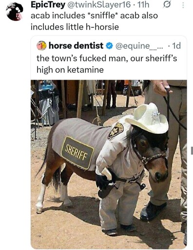 Microblog post: "the towns fucked man, our sheriff's high on ketamine" Picture of a horse in a sheriff costume. Reply: "acab includes *sniffle* acab also includes little h-horsie"