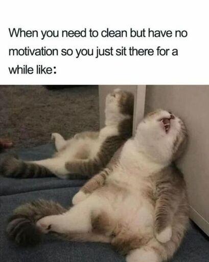 When you need to clean but have no motivation so you just sit there for awhile like this: (Picture of a cat sitting like a human would sit with a distressed expression.)