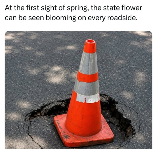 A traffic cone sprouting from a pothole