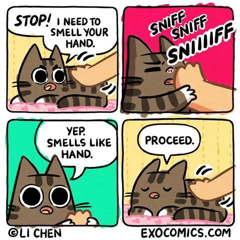 Panel 1: (Cat is laying on a blanket, being pet by an unseen person's hand.) Cat:Stop! I need to smell your hand. Panel 2: (Cat sniffs the hand.) Sniff, sniff... SNIIIIFF. Panel 3: Cat: Yep. Smells like hand. Panel 4: (Cat, now looking relaxed, allowing the person to give pets.) Cat: Proceed. 