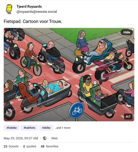Cartoon waarop twee kruisende fietspaden te zien zijn. De fietspaden zijn gevuld met voortrazende fatbikes and elektrische bakfietsen. De bakfietsen hebben allemaal toeters en bellen, eentje heeft een bubbelbad met spelende kinderen in de bak, in een andere bakfiets zit een kind te gamen voor een groot scherm. Er is slechts een normale fiets te zien op de fietspaden, deze wordt links en rechts ingehaald door kwaad kijkende mensen op ebikes. Een vrouw probeert tevergeefs over te steken bij een zebrapad.