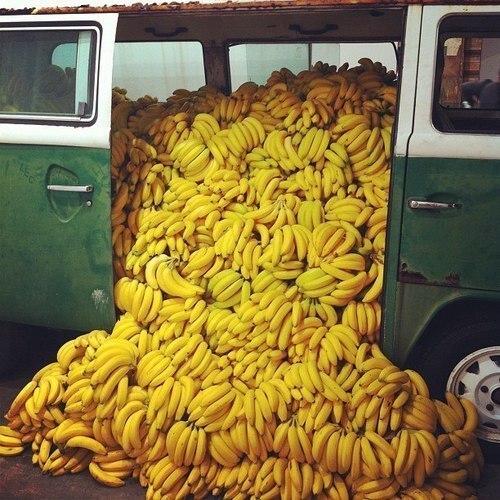 a close-up photo of a white-and-green van with the sliding door open to reveal the hoard of yellow Cavendish bananas filling the entire rear compartment, with many of the bananas spilling out through the open door onto the ground below